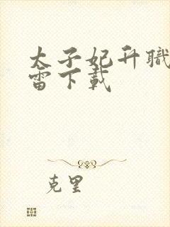 太子妃升职记迅雷下载