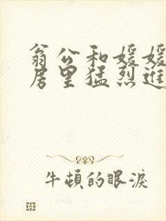 翁公和媛媛在厨房里猛烈进出