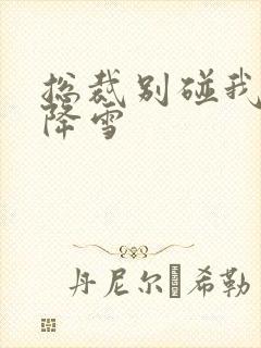 总裁别碰我 韩降雪