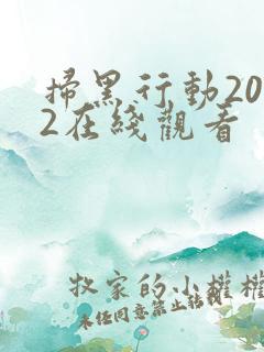 扫黑行动2022在线观看