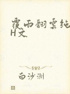 覆雨翻云纯肉高H文