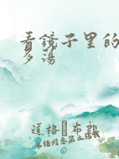 看镜子里的你有多荡