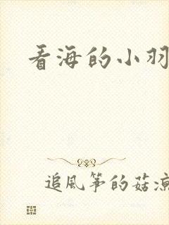 看海的小羽