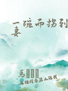 一碗面拐到美艳妻