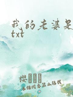 我的老婆是警察txt