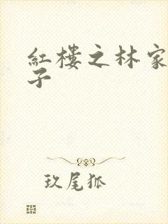 红楼之林家庶长子