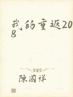 我的重返2008