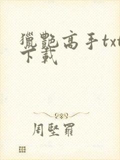 猎艳高手txt下载