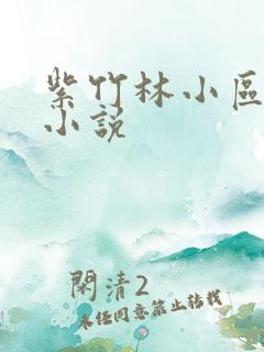 紫竹林小区快递小说