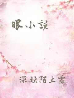 眼小说