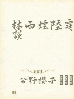 林雨烟陆霆琛小说