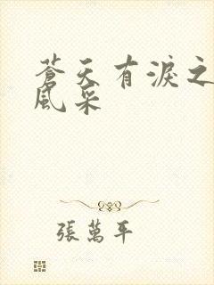 苍天有泪之军人风采