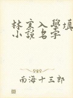 林寒入学填未婚小说名字