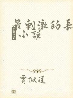 最刺激的长篇乱惀小说