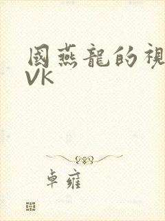 国燕龙的视频IVK