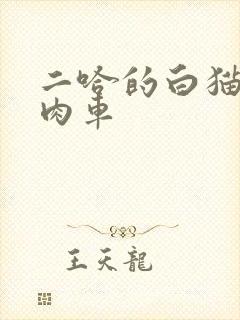二哈的白猫师尊肉车