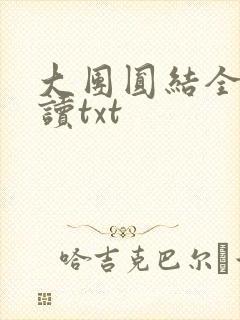 大团圆结全文阅读txt