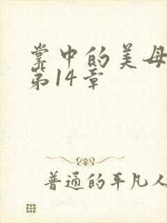 掌中的美母版主第14章