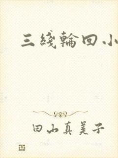 三线轮回小说