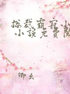 总裁霸宠小娇妻 小说免费阅读