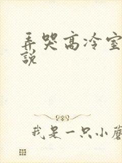 弄哭高冷室友小说