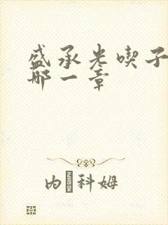 盛承光吃子时奶哪一章