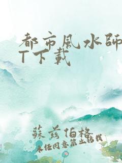 都市风水师TXT下载