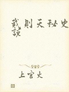 武则天秘史 小说