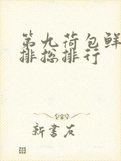 第九荷包鲜辣肉排总排行