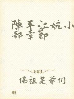 阵平江婉小说全部章节