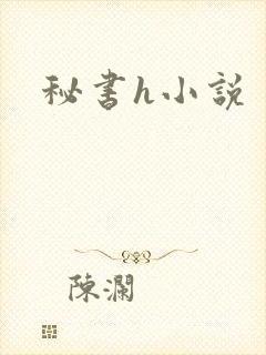 秘书h小说