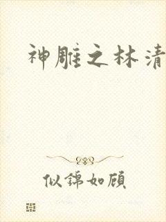 神雕之林清传