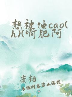 想被他cao(h)(啊肥阿