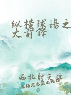 纵横球场之暴力大前锋