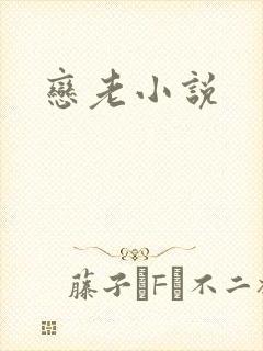 恋老小说