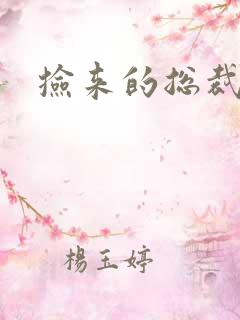 捡来的总裁儿子