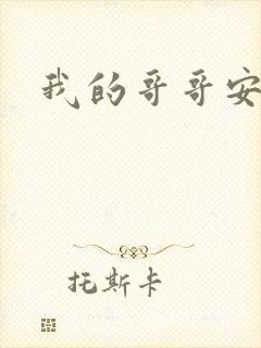 我的哥哥安小天