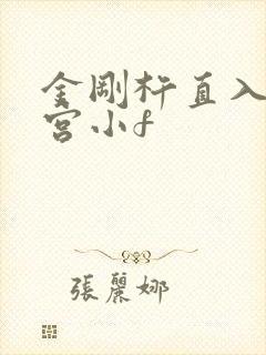 金刚杵直入莲花宫小f