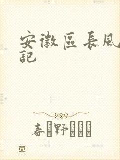 安徽区长风流日记