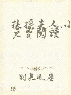 扶摇夫人.小说免费阅读