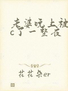 老婆晚上被躁狂c了一整夜