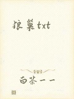 狼巢txt