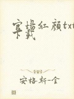 官场红颜txt下载