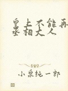 皇上不能再进了丞相大人