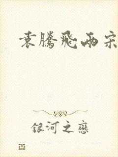 袁腾飞两宋风云