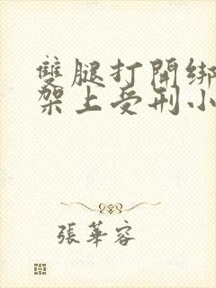 双腿打开绑在刑架上受刑小说