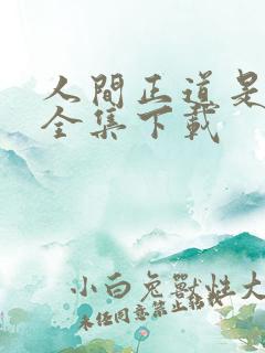 人间正道是沧桑全集下载