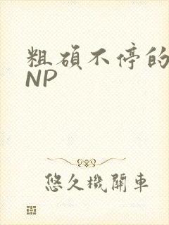 粗硕不停的进出NP