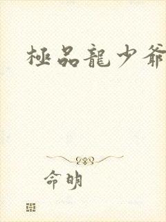 极品龙少爷