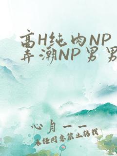 高H纯肉NP 弄潮NP男男